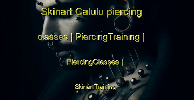 Skinart Calulu piercing classes | PiercingTraining | PiercingClasses | SkinartTraining-Australia